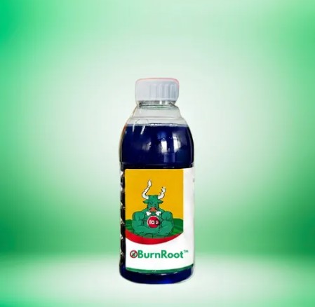 BurnRoot Aanbieding